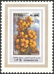 Syrian flowers