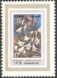 Syrian flowers
