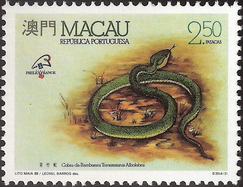 Serpents