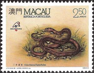 Stamp, Serpents, Macau,  , Reptiles, Snakes, Animals (Fauna)
