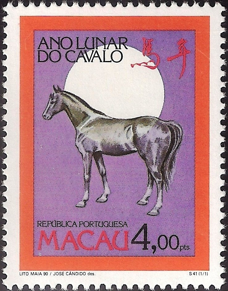 Horse (Equus ferus caballus)