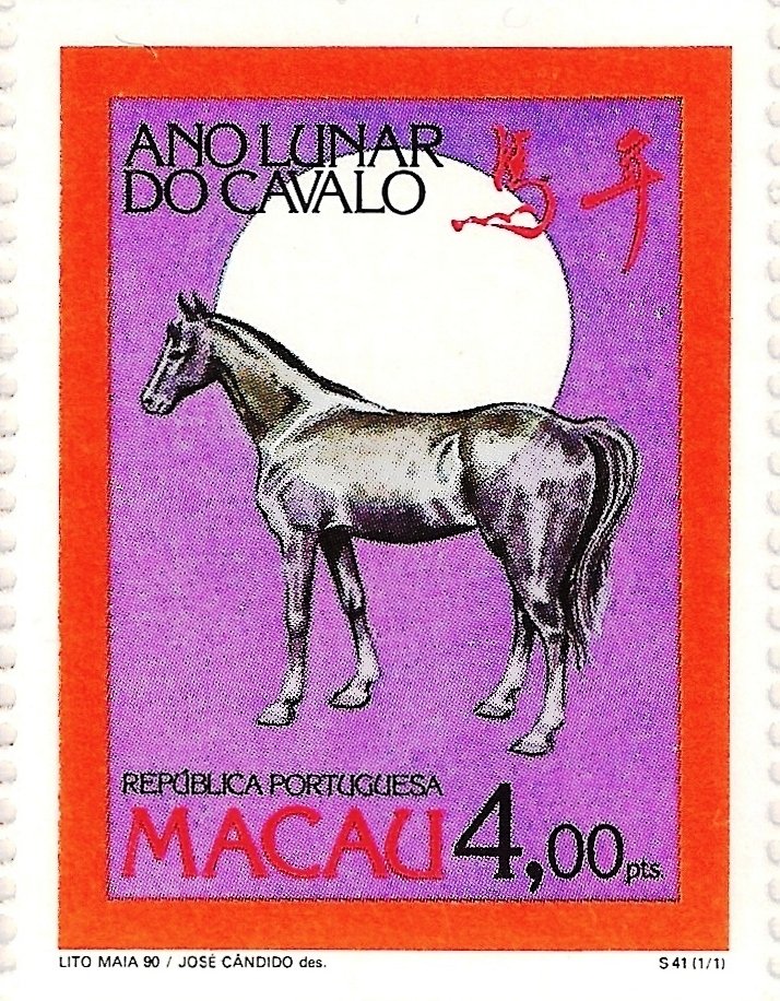 Horse (Equus ferus caballus)