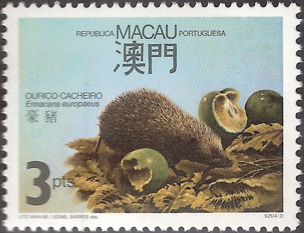 Northern Hedgehog (Erinaceus europaeus)