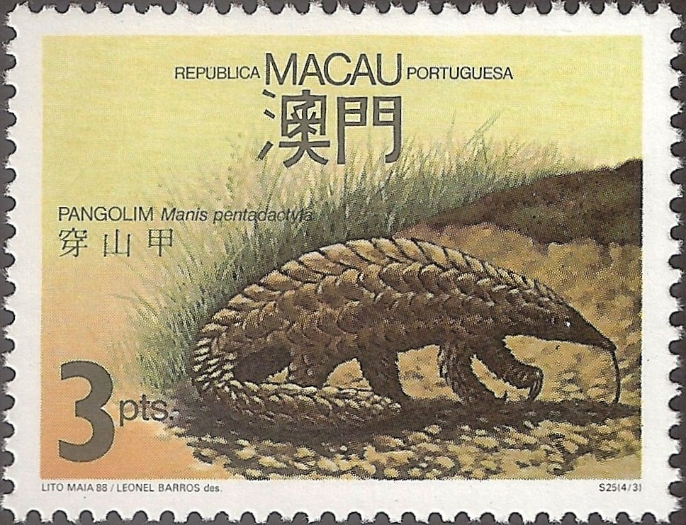 Chinese Pangolin (Manis pentadactyla)
