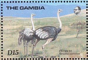 Stamp, Ostrich (Struthio camelus), Gambia,  , Birds, Animals (Fauna)