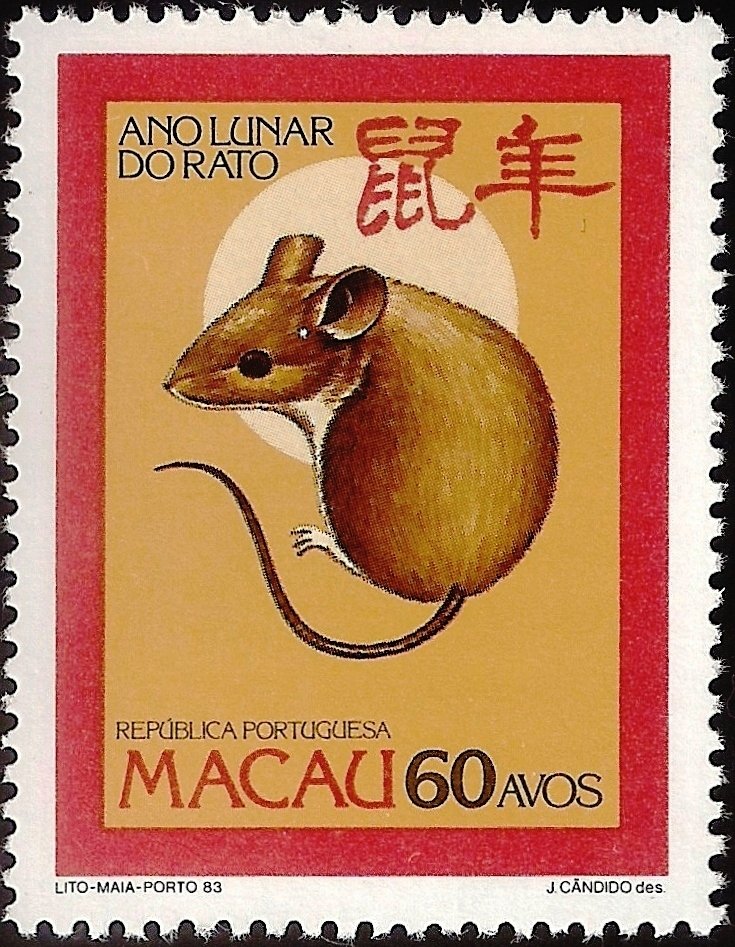 Rat (Rattus sp.)