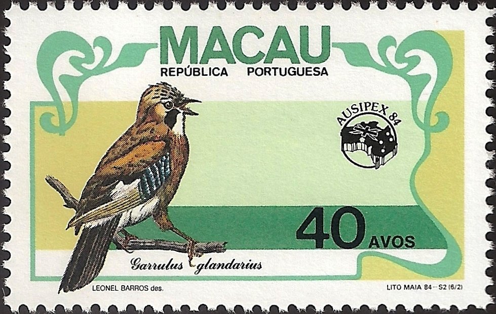 Eurasian Jay (Garrulus glandarius)