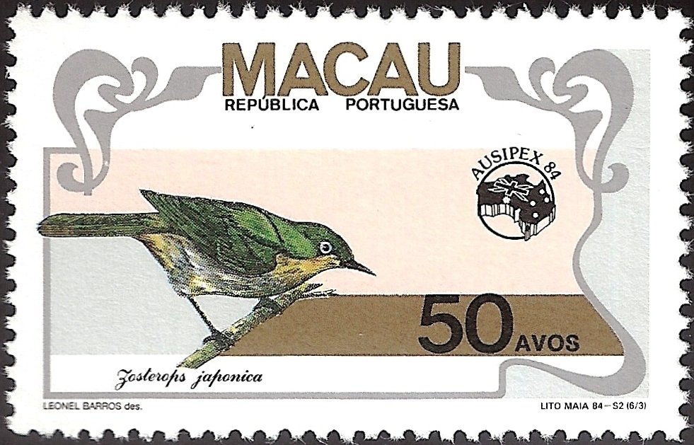 Japanese White-eye (Zosterops japonica)