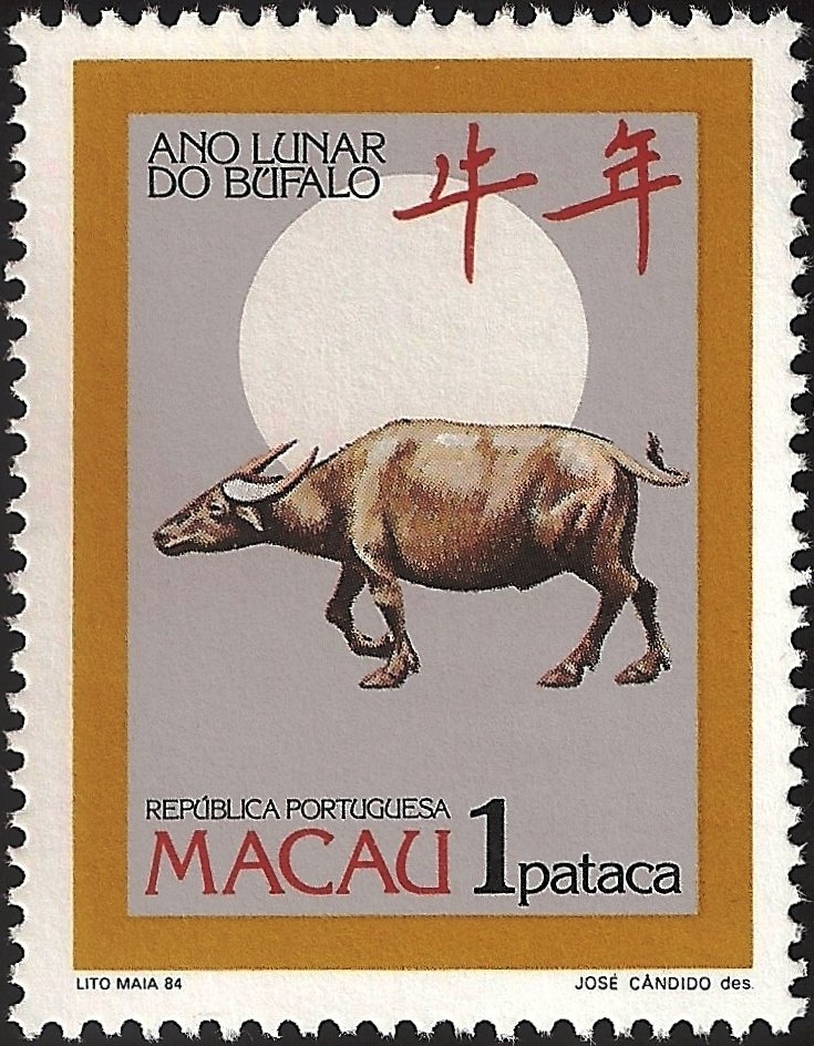 Asian Buffalo (Bubalus arnee)