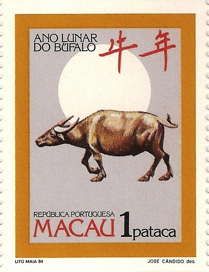 Asian Buffalo (Bubalus arnee)