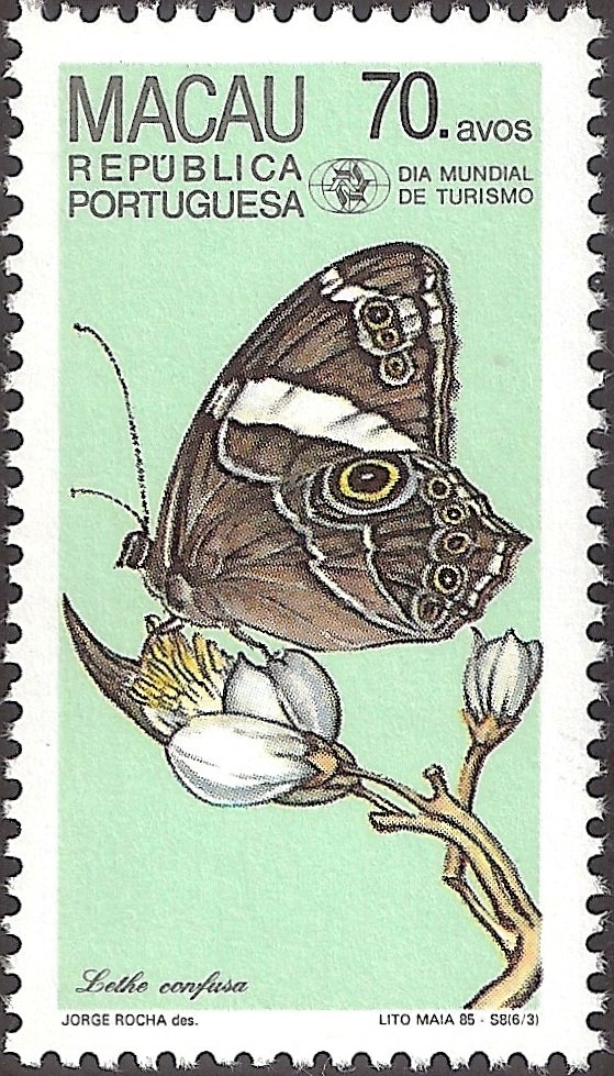 Banded Treebrown (Lethe confusa)