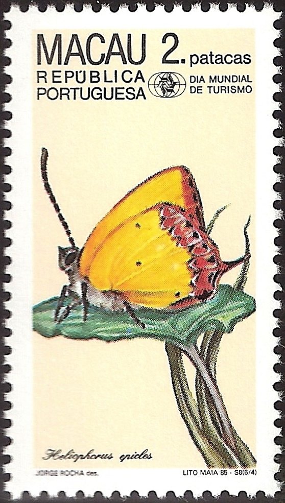 Purple Sapphire (Heliophorus epicles)