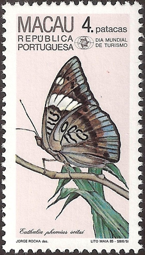 White-edged Blue Baron (Euthalia phemius ssp. seitzi)