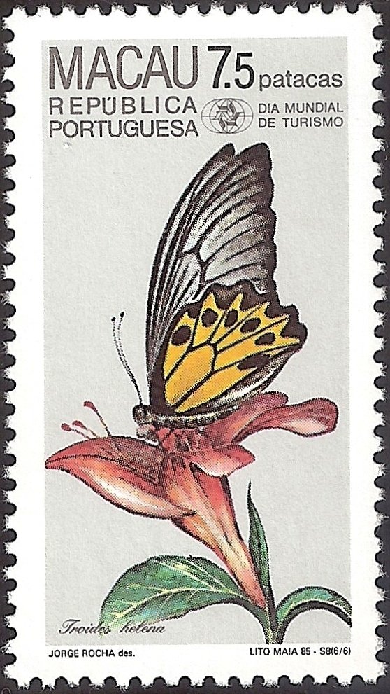 Common Birdwing (Troides helena)