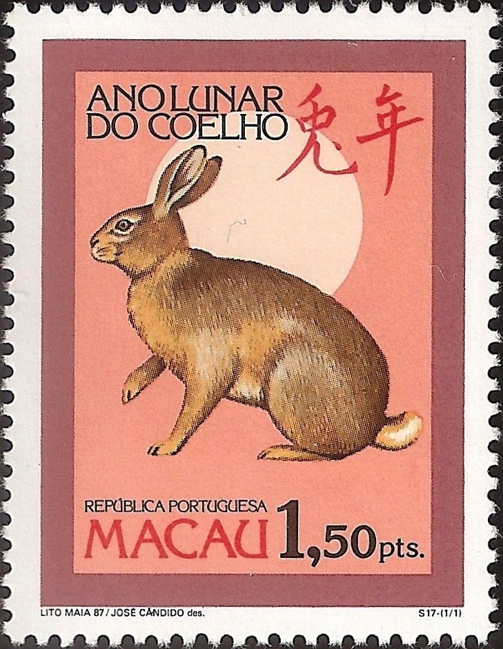 Rabbit (Family Leporidae)