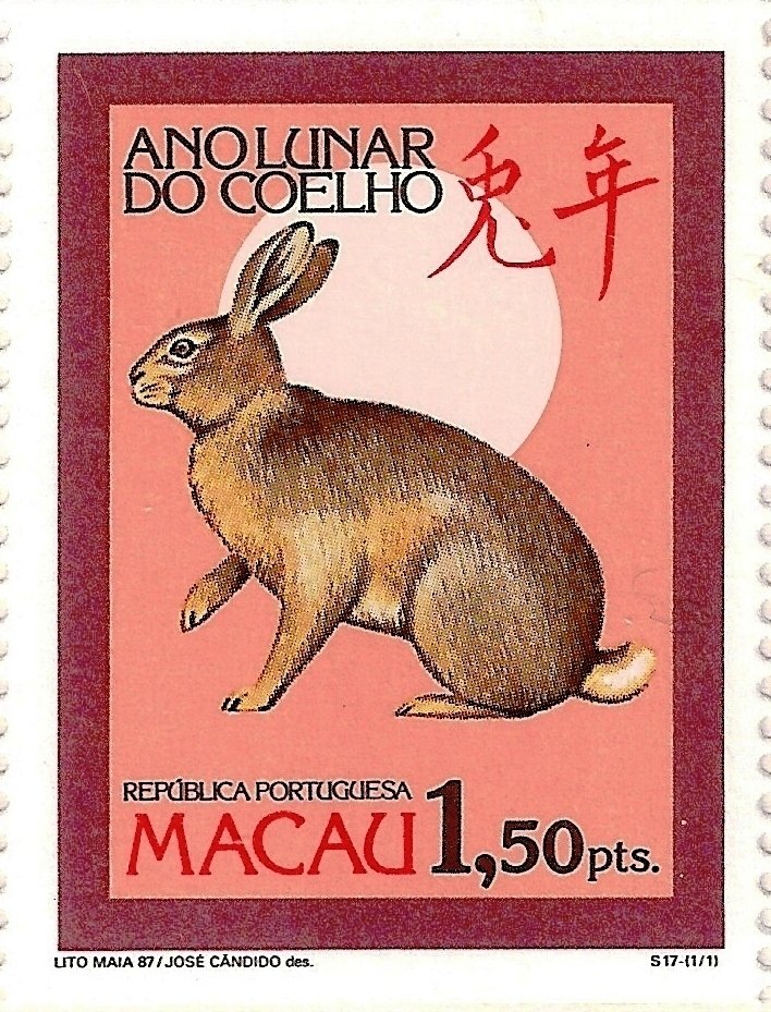 Rabbit (Family Leporidae)