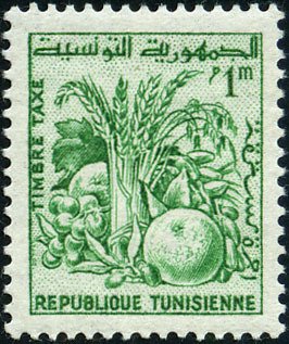 Tunisian Products