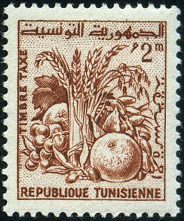 Tunisian Products
