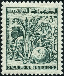 Tunisian Products