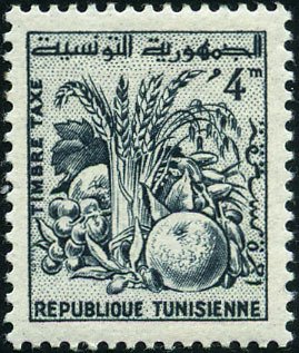 Tunisian Products