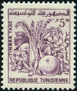 Tunisian Products