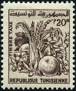 Tunisian Products