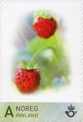 Wild Strawberries (Fragaria vesca)