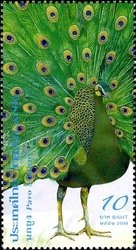 Stamp, Green Peafowl (Pavo muticus) , Thailand,  , Birds