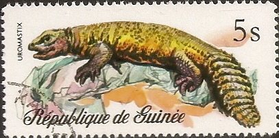 Stamp, Bell's Dab Lizard (Uromastix acanthinurus), Guinea, Social Democratic Republic,  , Reptiles, Animals (Fauna)