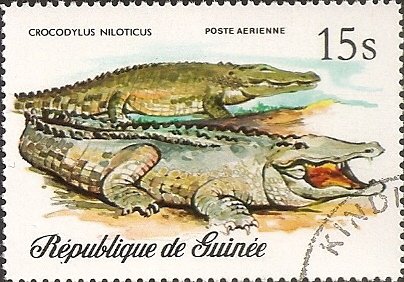 Stamp, Nile Crocodile (Crocodylus niloticus), Guinea, Social Democratic Republic,  , Reptiles, Crocodiles, Animals (Fauna)