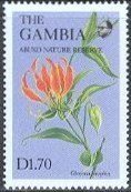 Stamp, Gloriosa Simplex, Gambia,  , Flowers