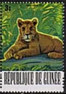 Lion (Panthera leo)
