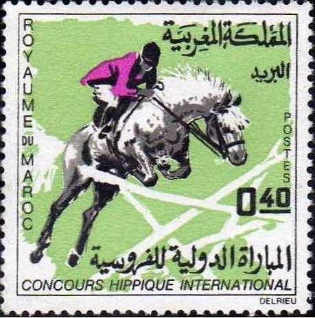 International Horse Show