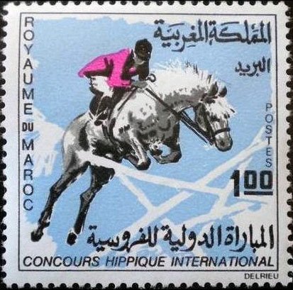 International Horse Show