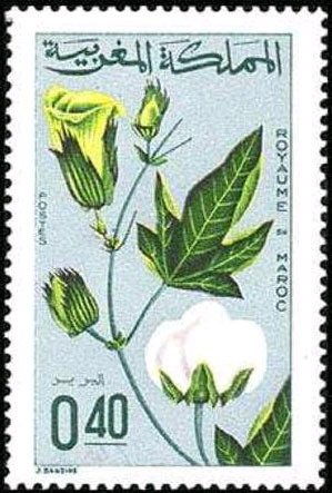 Agriculture