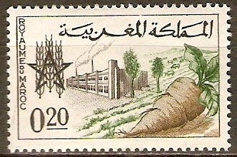 Sugar Plant