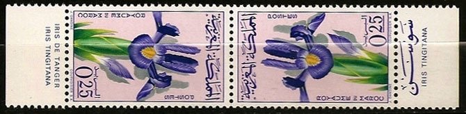 Se-tenant, Iris tingitana, Morocco,  