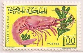 Stamp, Royal Prawn (Aristeomorpha folliacea), Morocco,  
