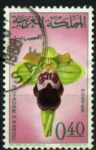 Stamp, Ophrys fusca, Morocco,  , Orchids