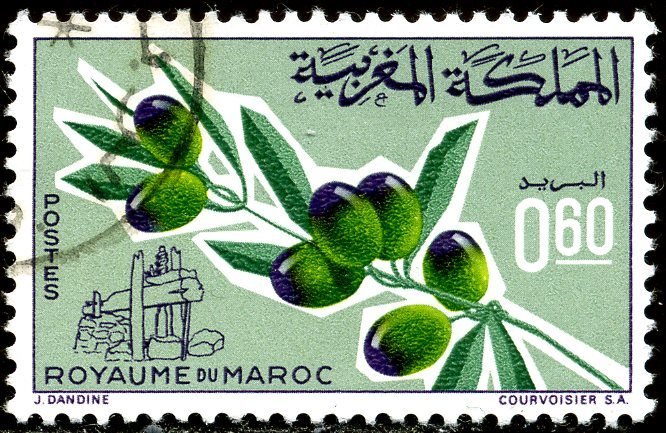Olive branch with fruits, old oil press