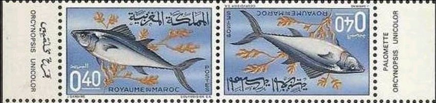 Se-tenant, Plain Bonito (Orcynopsis unicolor), Morocco,  