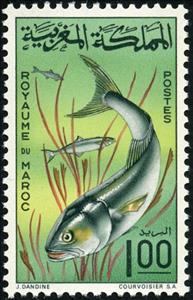 Stamp, Bluefish (Pomatomus saltatrix), Morocco,  