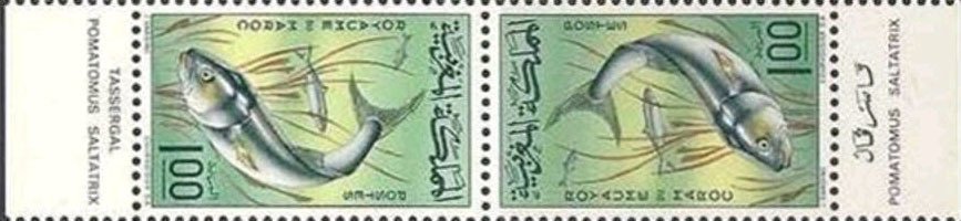 Se-tenant, Bluefish (Pomatomus saltatrix), Morocco,  