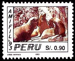 South American Fur Seal (Arctocephalus australis)