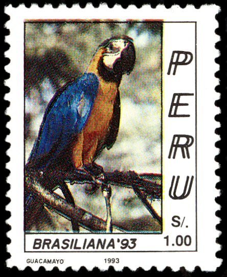 Blue-and-yellow Macaw (Ara ararauna)