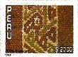 Stamp, Chancay textile, Peru,  , Textile