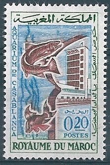 Stamp, Brown Trout (Salmo trutta), Morocco,  , Fishes