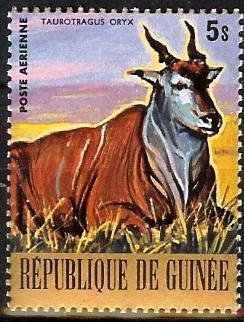 Common Eland (Taurotragus oryx)