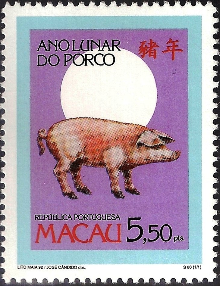 Domestic Pig (Sus scrofa domestica)