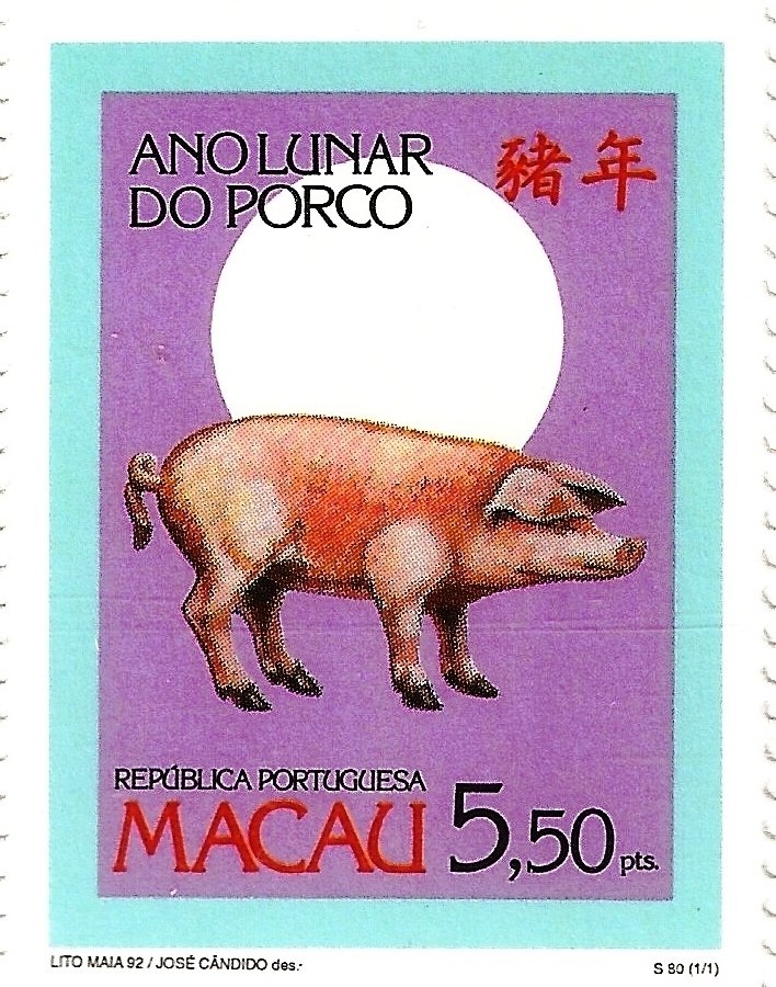Domestic Pig (Sus scrofa domestica)